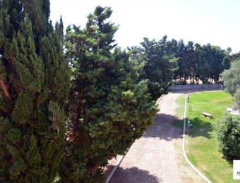 giardino1