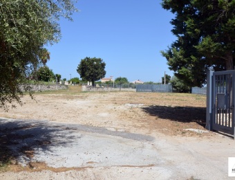 giardino22