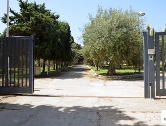 giardino25
