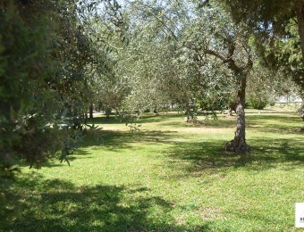 giardino27