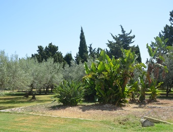 giardino29