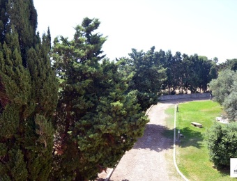 giardino3