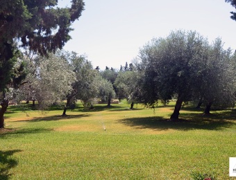 giardino31
