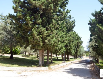 giardino32