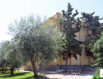 giardino33